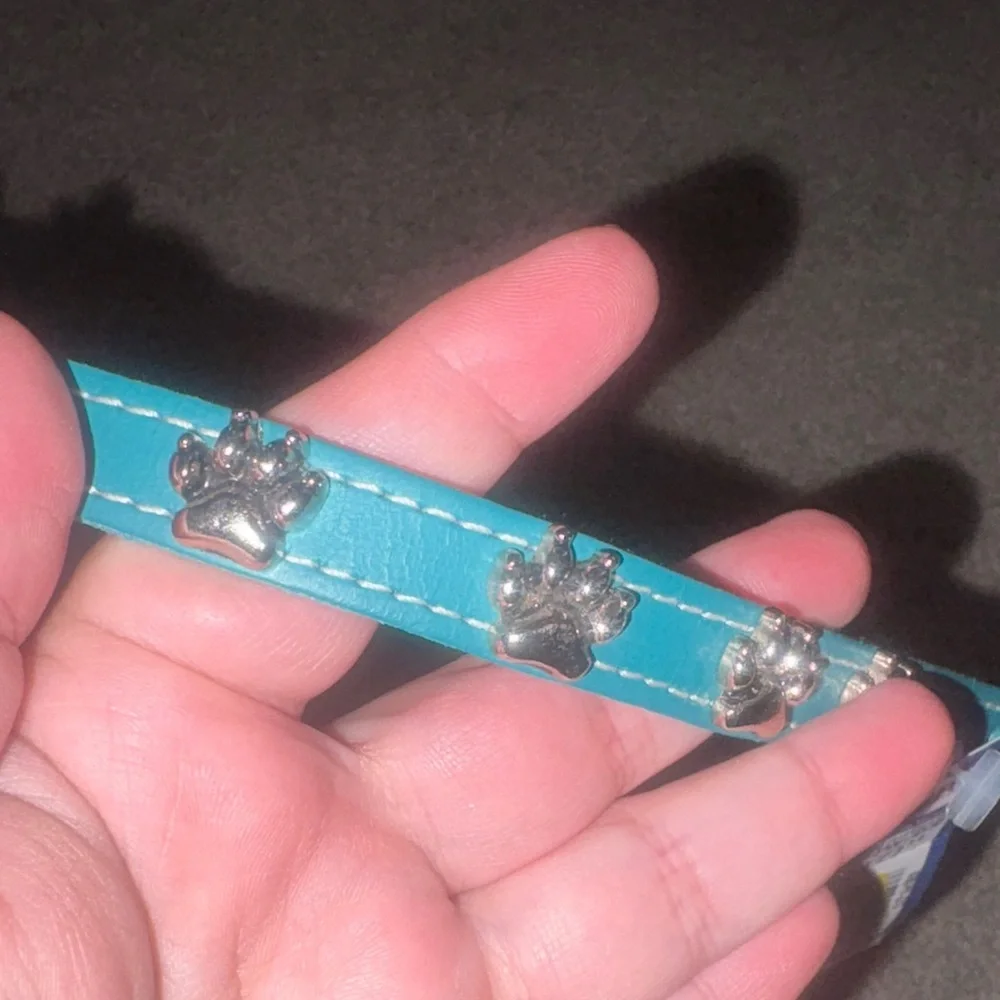 New Omni Pet Leather Teal Dog Collar with Paw Charm xs/s